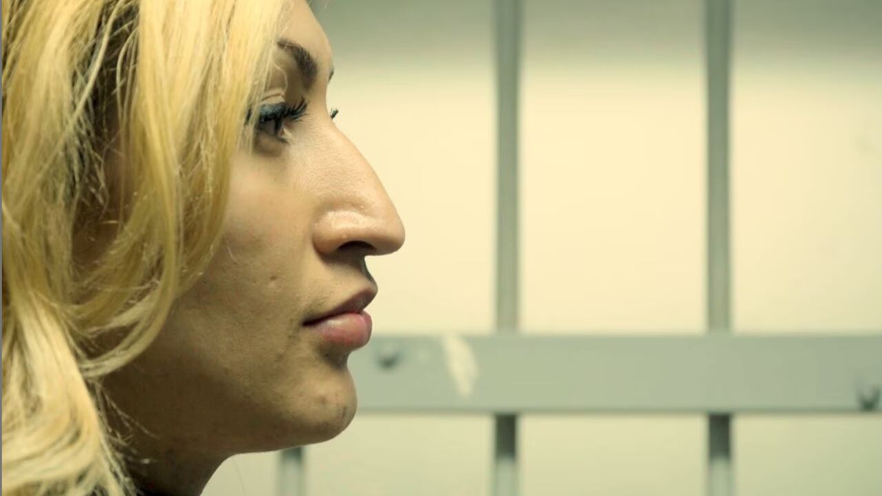 La película franco-colombiana "Transfariana," dirigida por Joris Lachaise, ha obtenido un destacado reconocimiento en la 71ª edición del Festival de San Sebastián