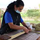 Capacitaron a mujeres de Tenjo para tejer la planta de enea.
