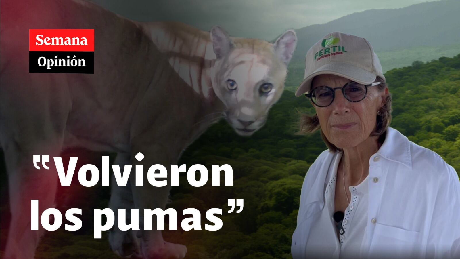 “Volvieron los pumas”, por Salud Hernández-Mora