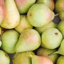 La pera contiene una variedad de nutrientes aptos para la salud humana.