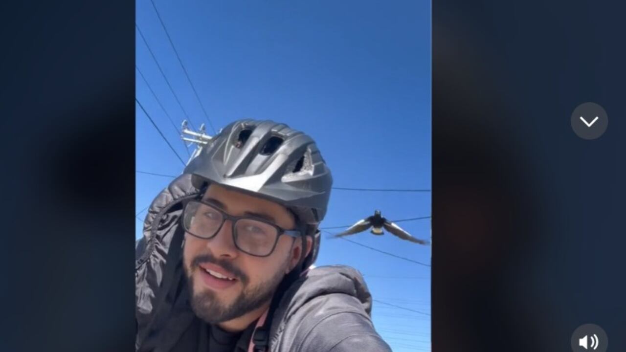 Colombiano atacado por un ave