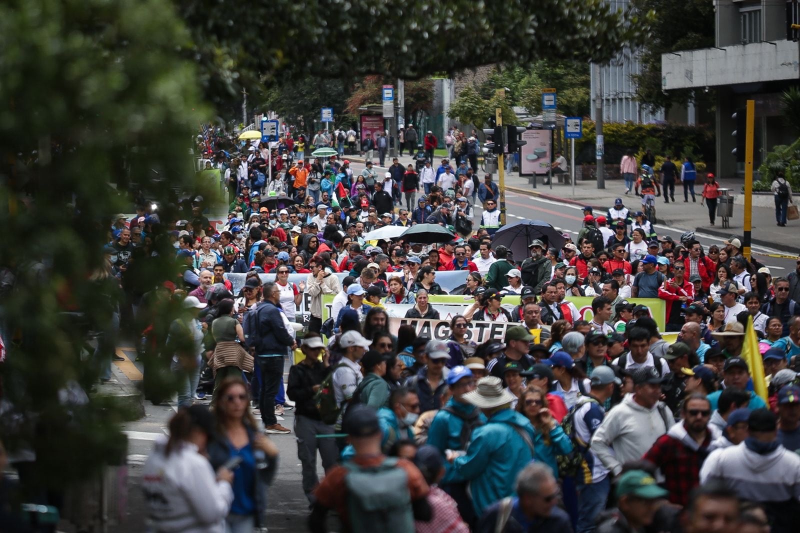 Bogotá
