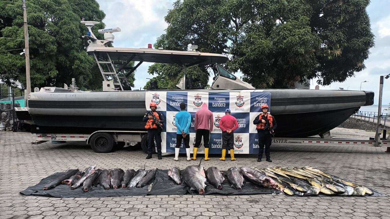 Armada Nacional incautó 738 kilos de pesca ilegal y capturó a tres personas en el pacífico.