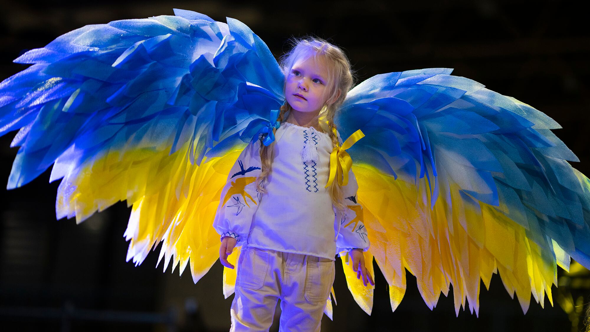 Ucrania 1 año de la guerra