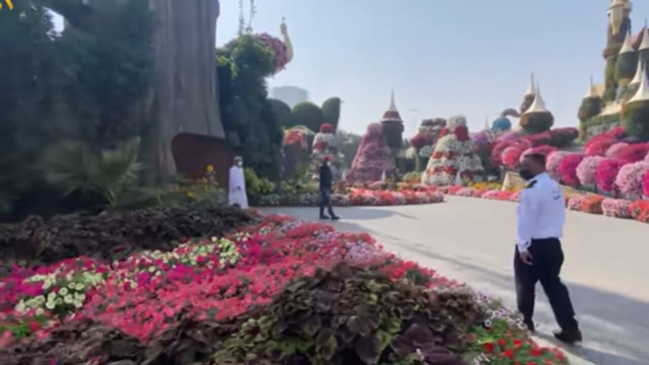 El Dubai Miracle Garden es un espléndido jardín de flores situado en la zona de Dubailand