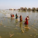 Mujeres paquistaníes caminan a través de las aguas de la inundación mientras se refugian en el distrito de Shikarpur de la provincia de Sindh, en Pakistán, el viernes 2 de septiembre de 2022. (AP Photo/Fareed Khan)