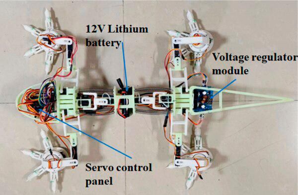 Robot en forma de lagarto.