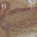 Hay dos manos pintadas sobre el cerdo. Foto Máxime Aubert/BBC