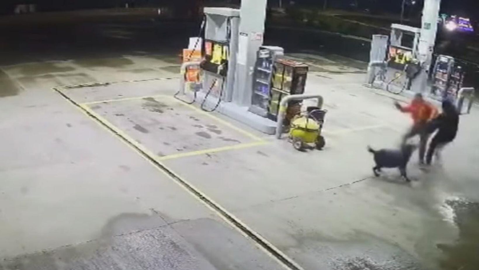 Perro se convirtió en héroe en Boyacá, ayudó a trabajador ante los ataques de un ladrón