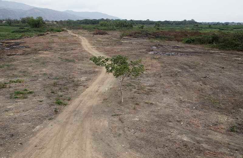 Laguna Sonso / Foto: Luis Ángel Murcia