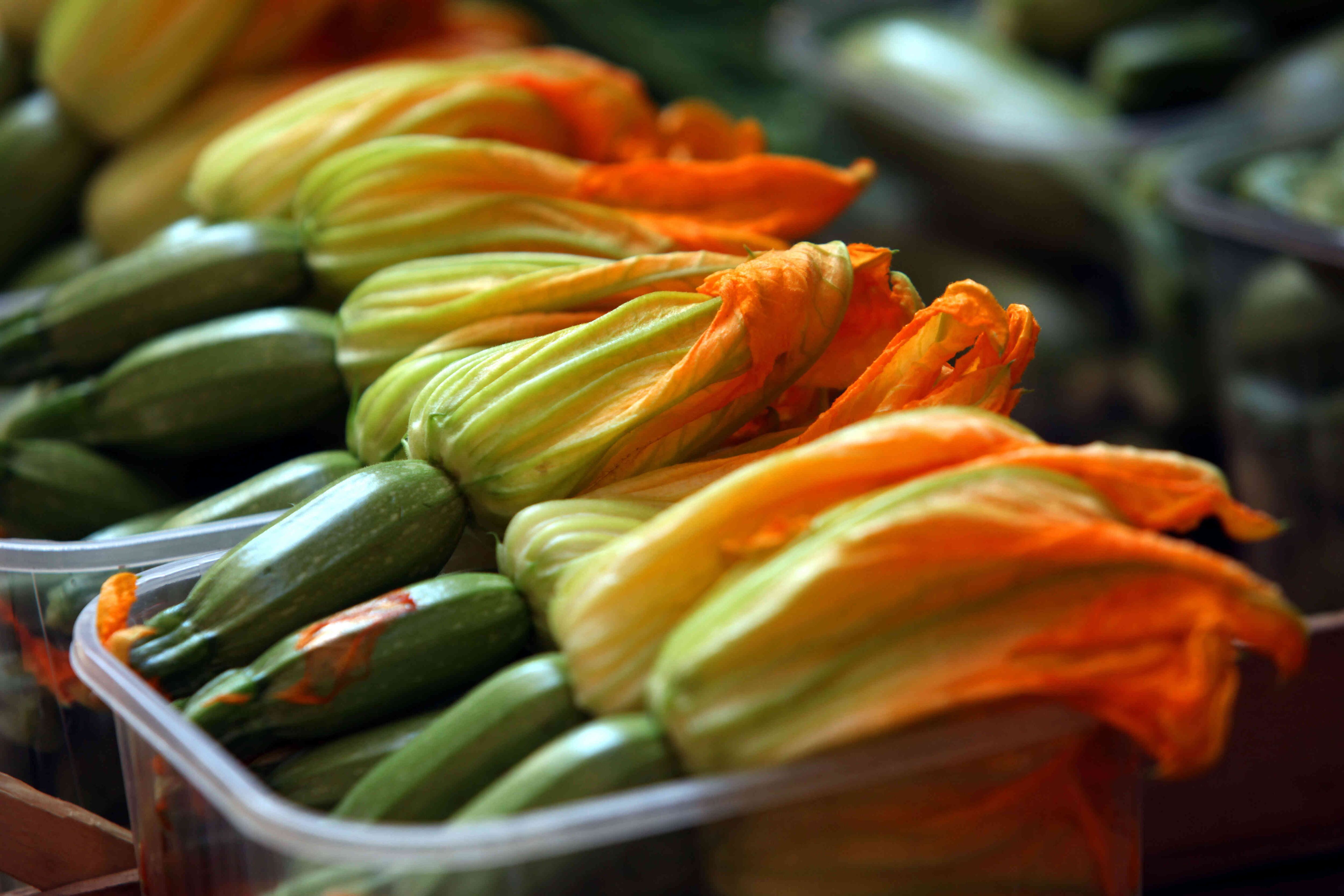 El zucchini se puede convertir en el ingrediente ideal para unas deliciosas albóndigas.