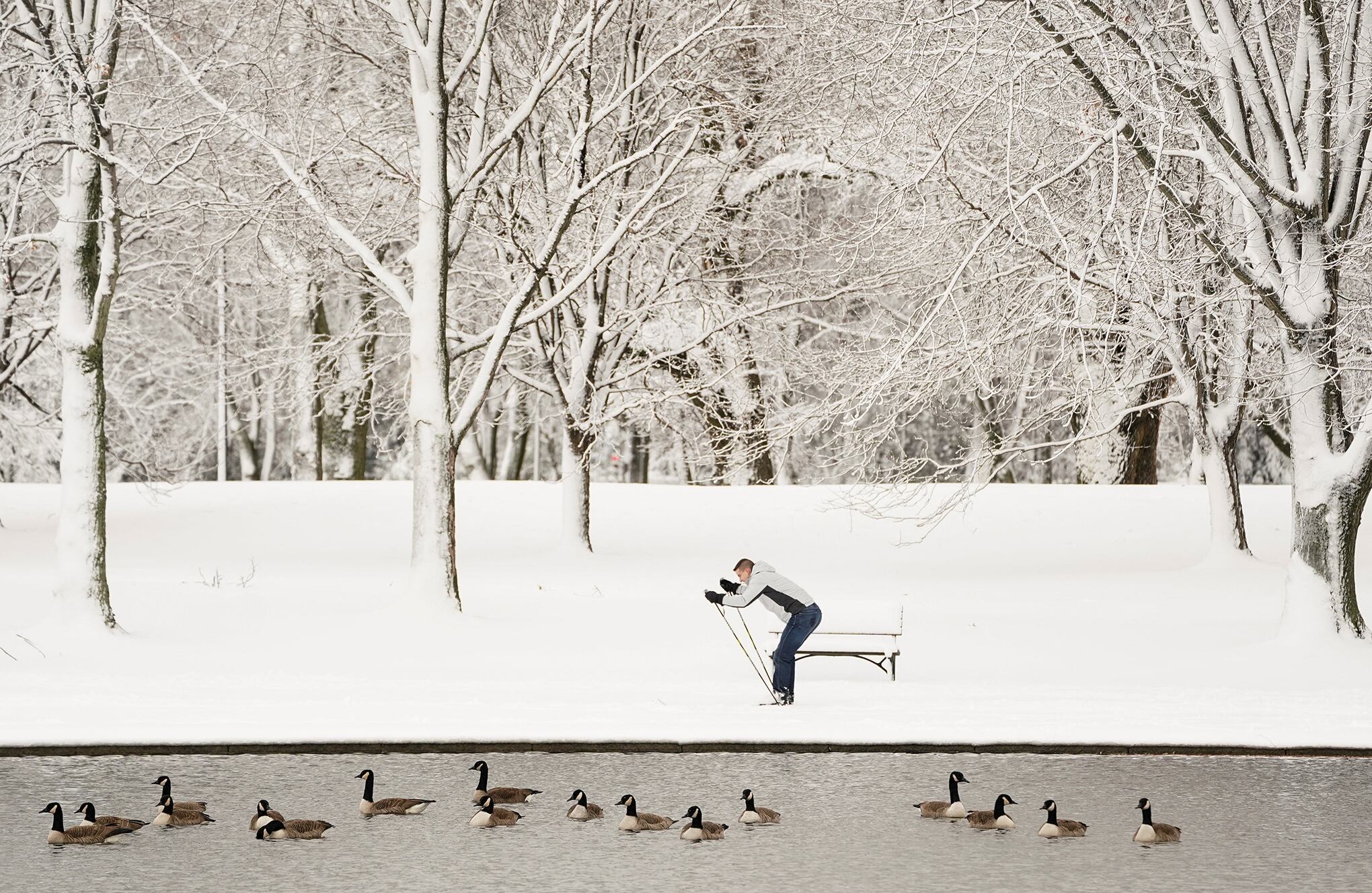 Washington se viste de blanco