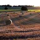 El Banco Mundial dio a conocer el listado de países de América Latina donde se han registrado las más altas temperaturas de América Latina. (Photo by BARBARA GINDL / APA / AFP) / Austria OUT