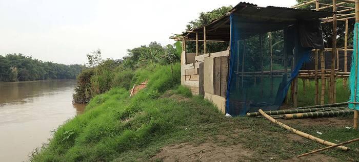 Invasiones en el jarillón del río Cauca en Cali