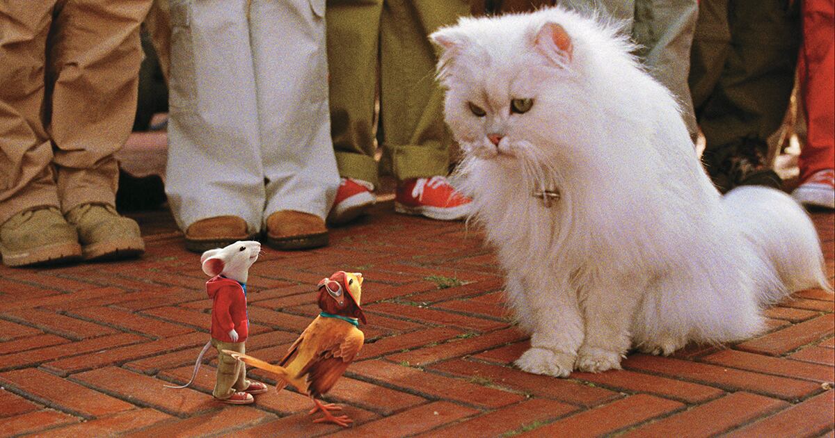 La mujer consideró que la rata era "tierna" y por eso "entabló" la conversación. Internautas recordaron la película infantil en la que un gato habla con un ratón.