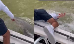 Momentos de pánico vivió un pescador aficionado en Florida por cuenta del ataque de un tiburón.