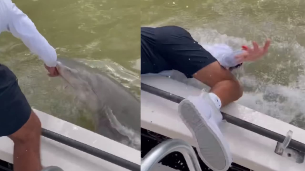 Momentos de pánico vivió un pescador aficionado en Florida por cuenta del ataque de un tiburón.