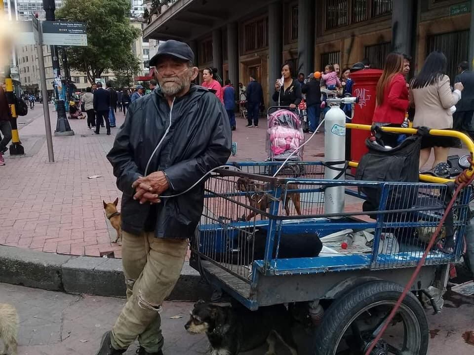 Don Jesús, Habitante de la calle que adoptó 12 perritos como familia.