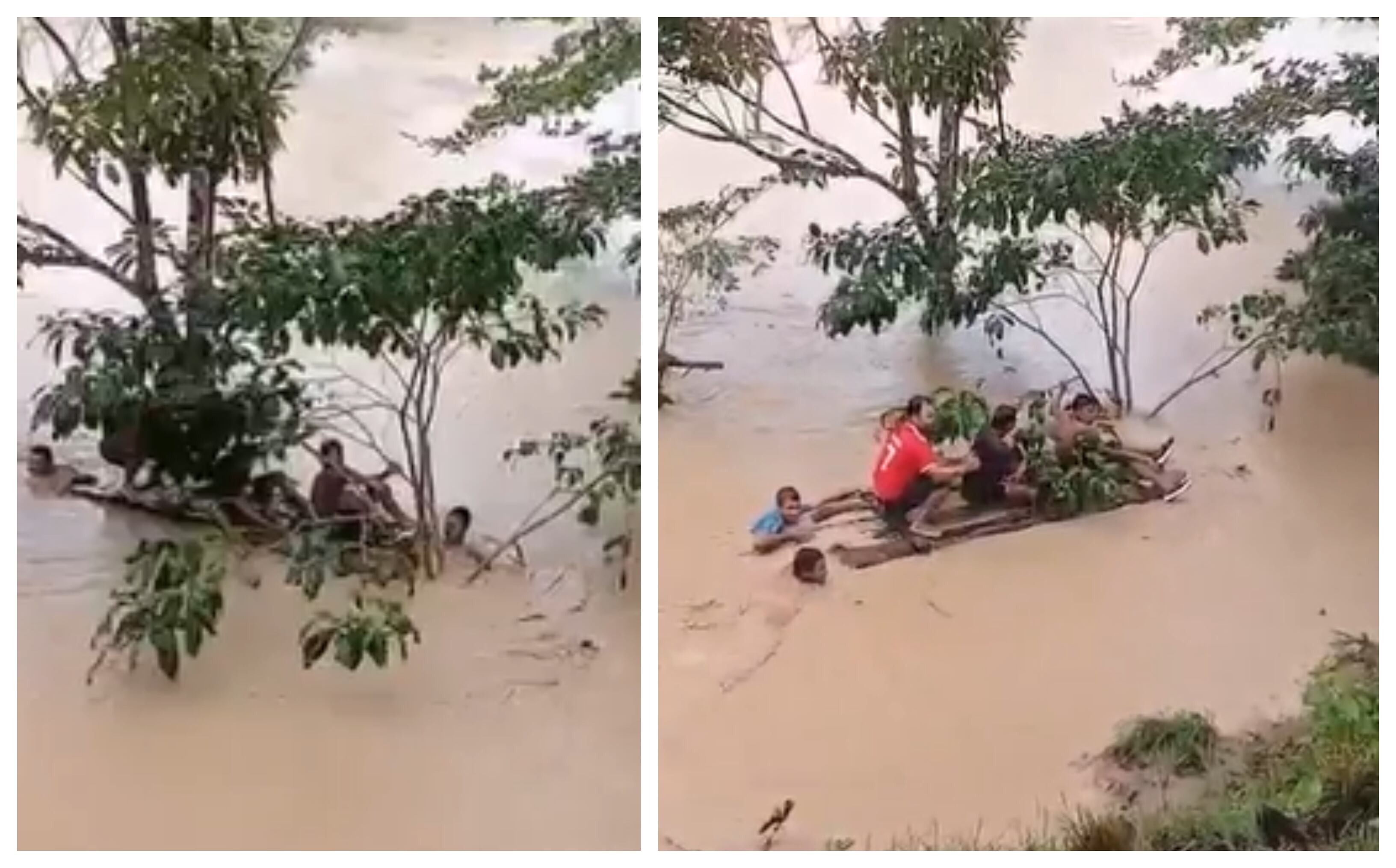 Rescate de niño que se aferró  a un árbol para sobrevivir a las inundaciones en Necoclí, Antioquia.