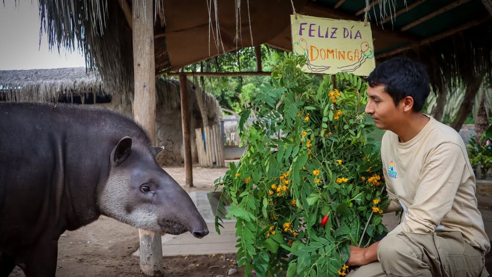Parque de Las Leyendas en Perú: ¿quiénes pueden ingresar gratis durante todo el 2025?