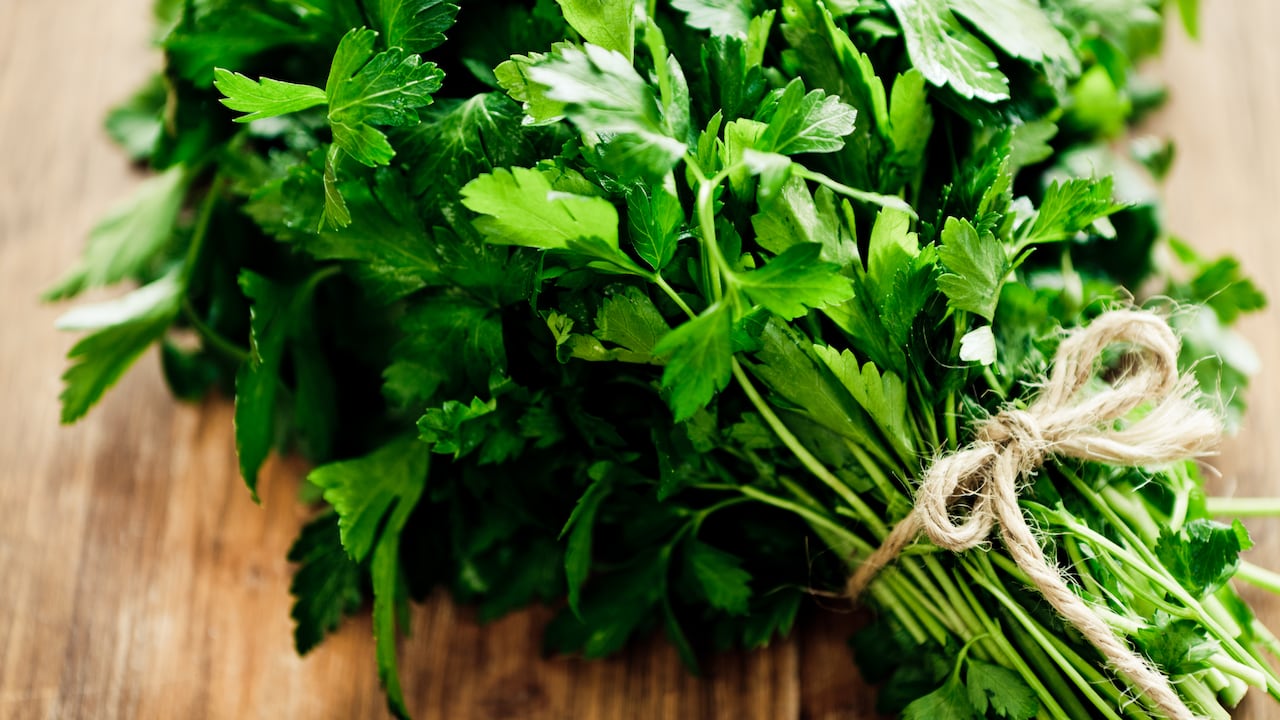 El perejil acumula una gran cantidad de nutrientes. Se puede encontrar con una gran facilidad en cualquier supermercado de barrio o almacén de cadena.