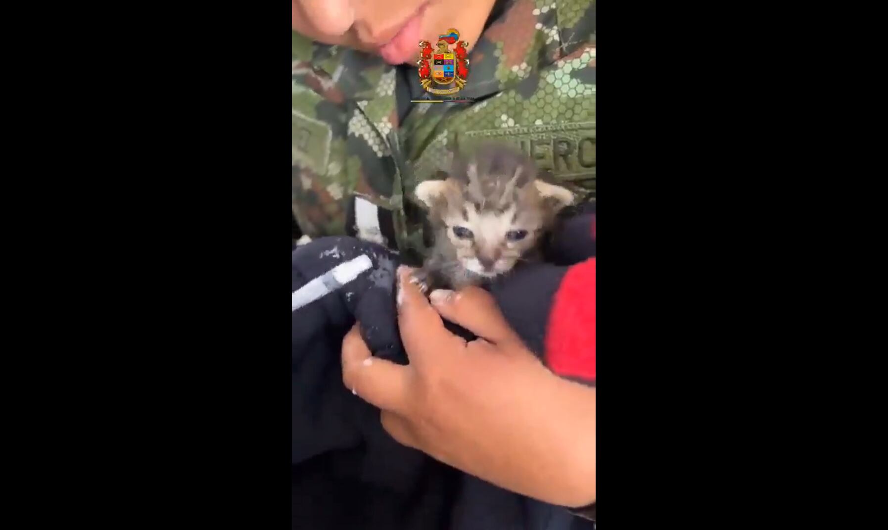 Un registro audiovisual evidenció un acto de atención y sensibilidad que fue destacado oficialmente.