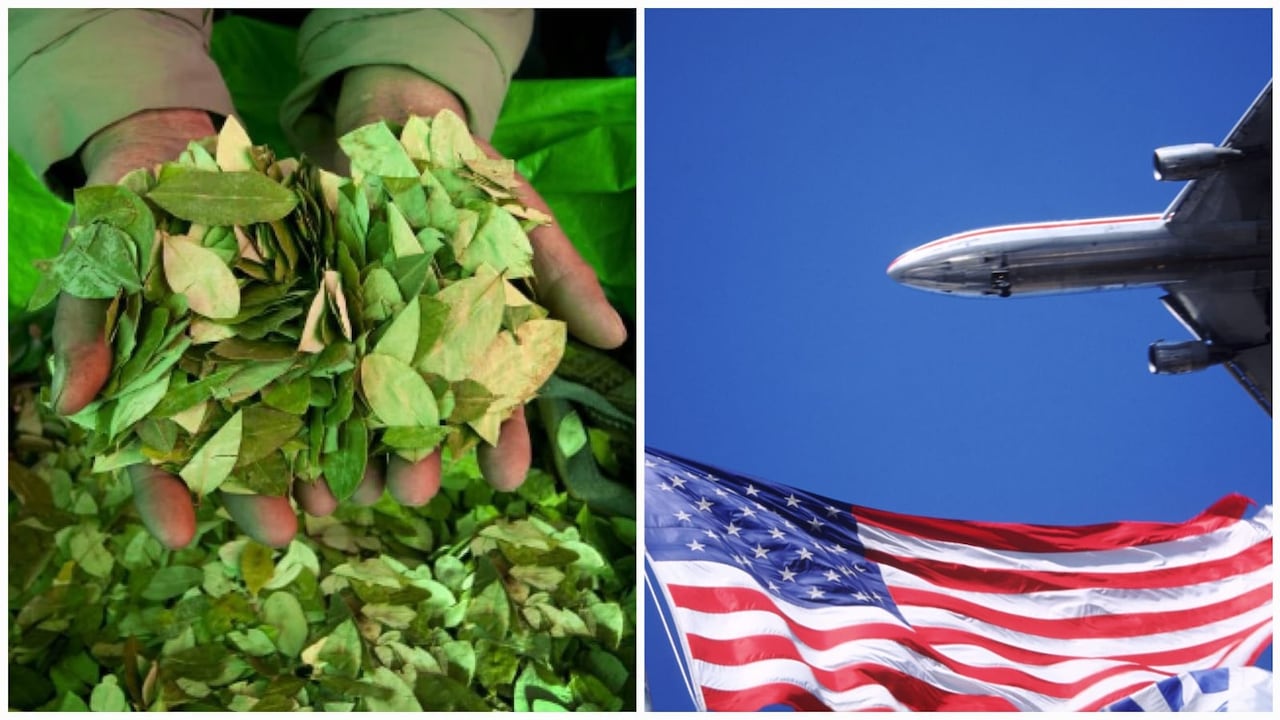 Perú y Bolivia son los países desde donde, según Daily Mail, aplica el aval 'especial' para el ingreso de hojas de coca a EE.UU.