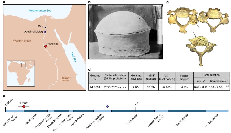 El descubrimiento integró restos físicos, estudios genéticos y datación histórica.