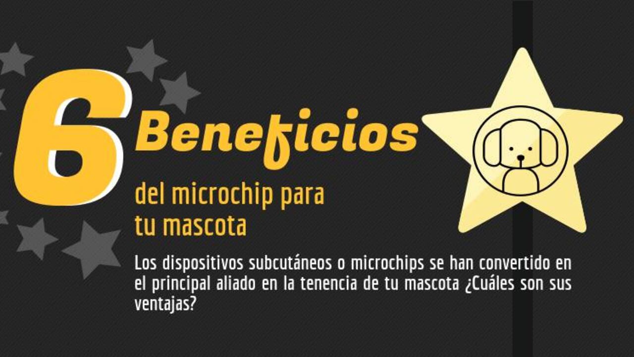 ¿Y tu mascota ya tiene el microchip?