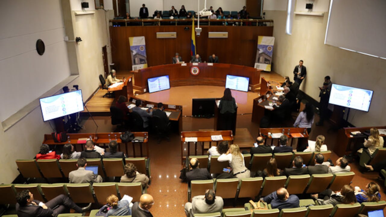 Corte Constitucional.