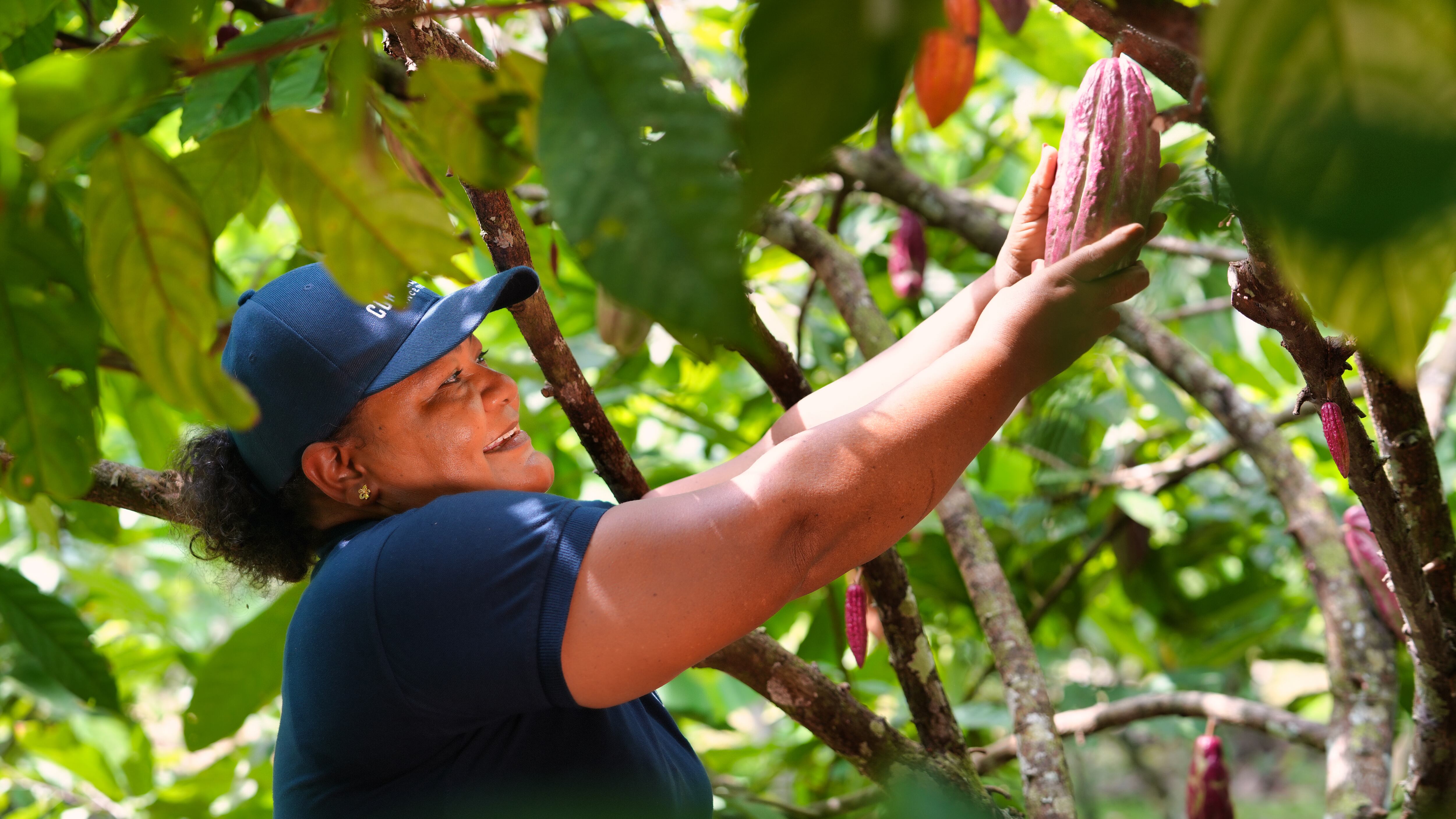Chocolate Cordillera de Nutresa