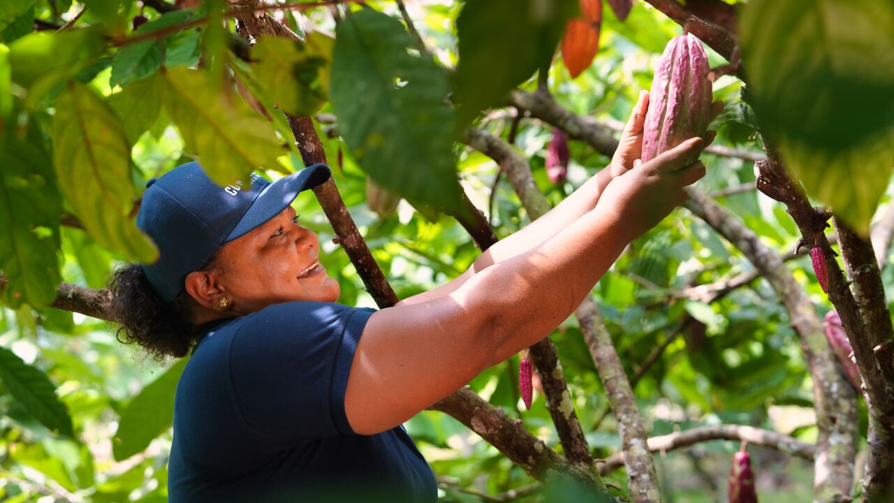 Chocolate Cordillera de Nutresa