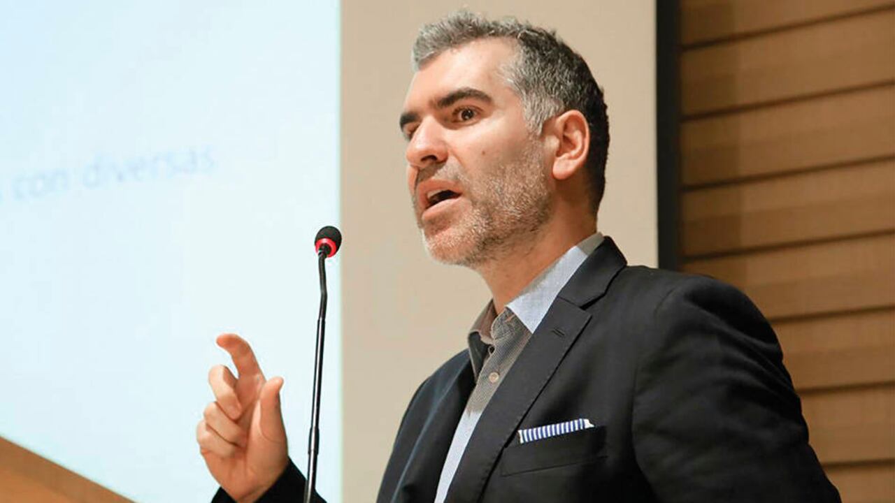 José Palma, experto chileno.