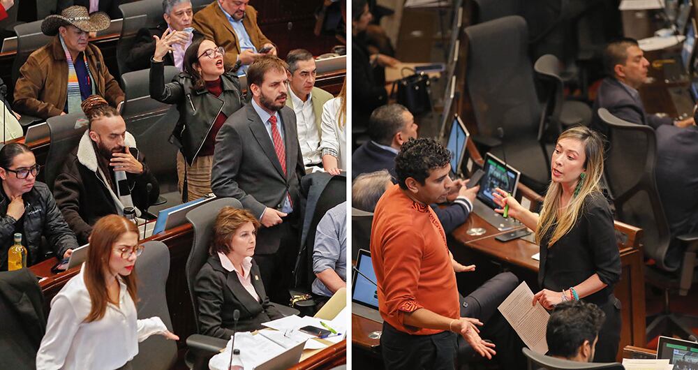 Debate en el Congreso sobre la reforma a la Salud.