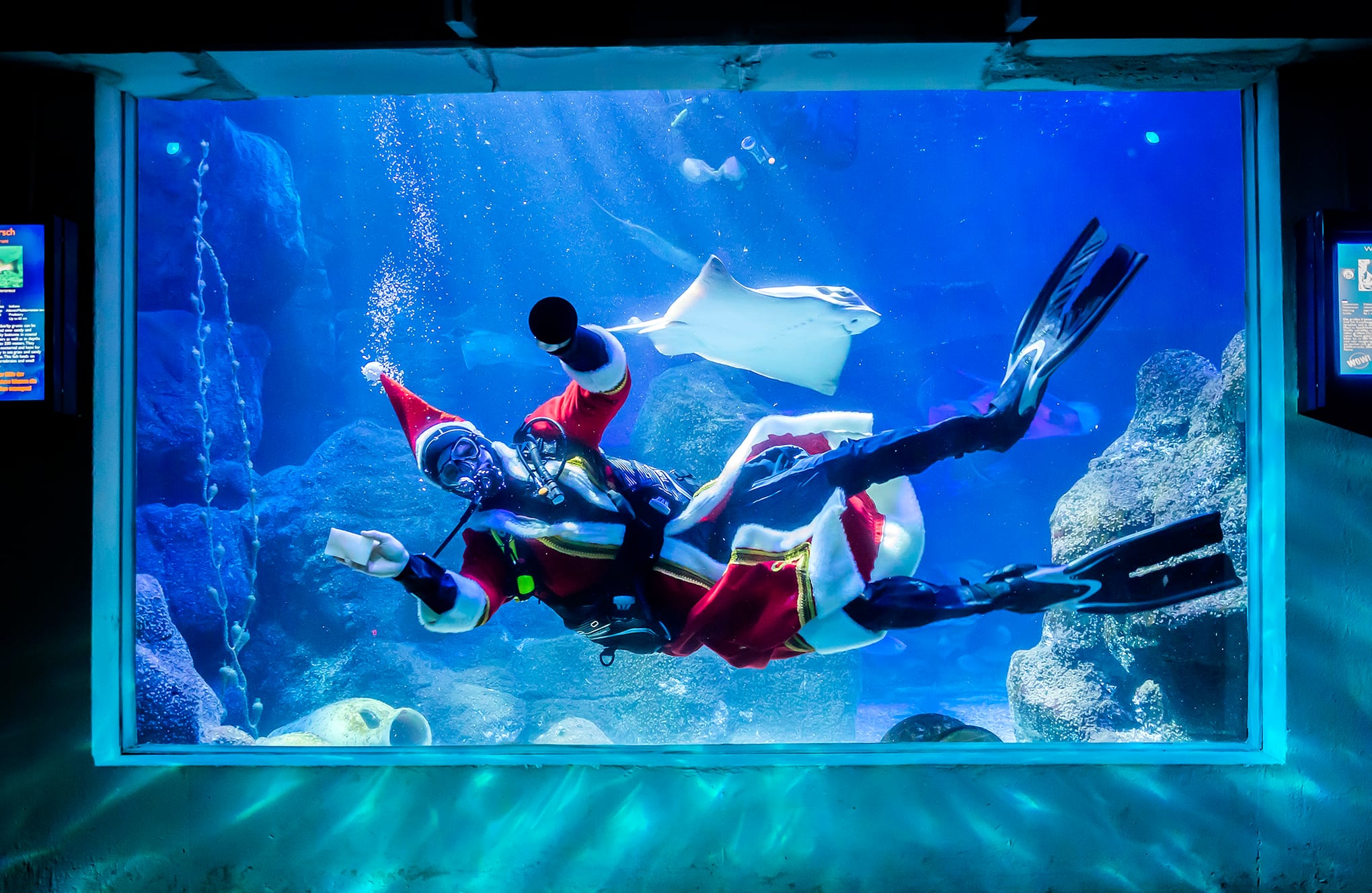 Fotos de la semana 10 dic