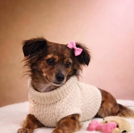 La estadía en el albergue no fue sencilla y obligó a buscarle un espacio más tranquilo.