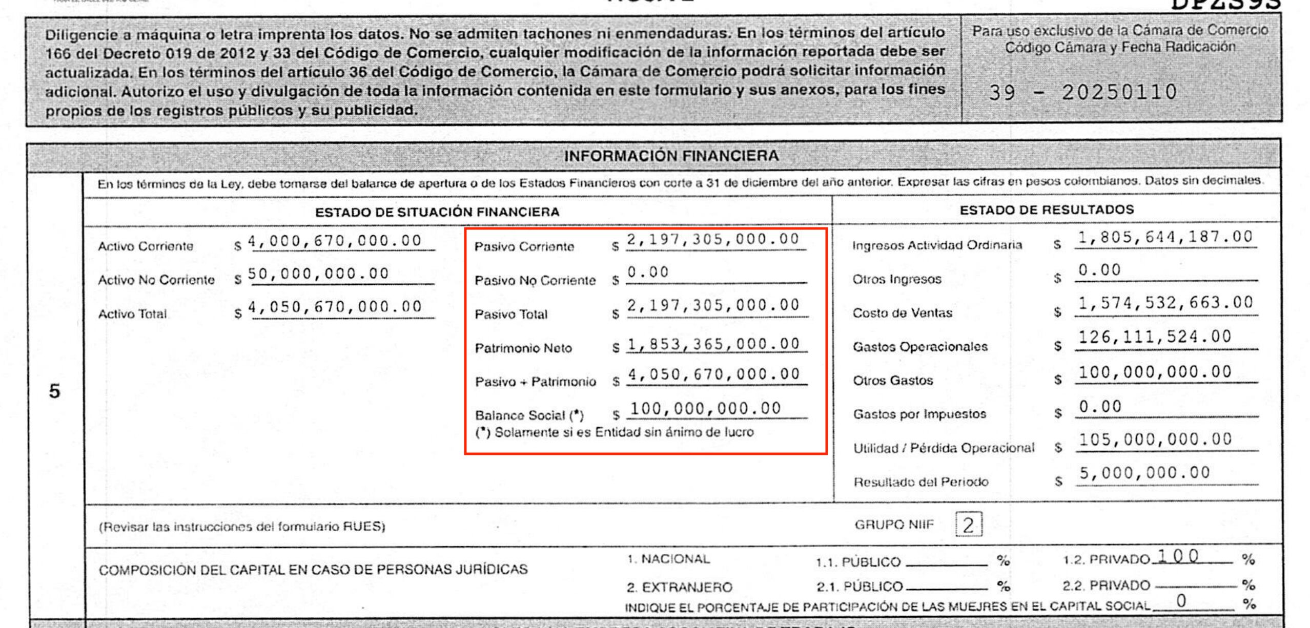 Estados financieros de Raíces Afro en 2025.