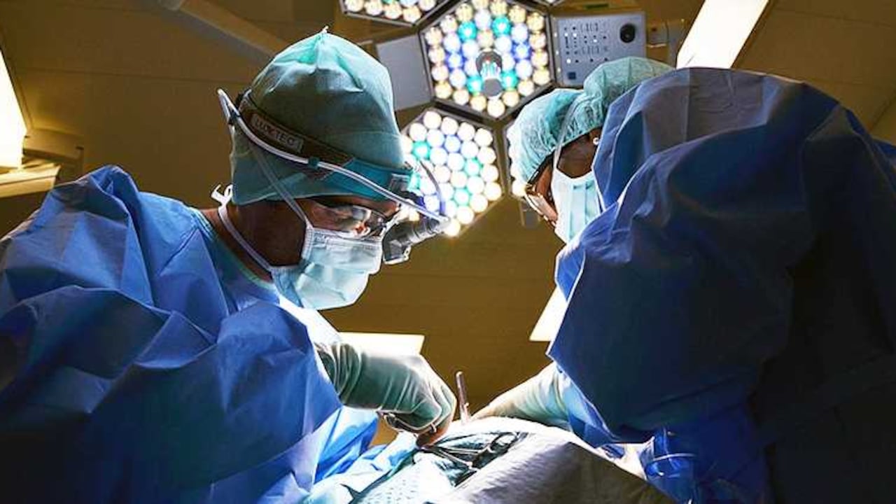 El Ministerio de Educación puso en conocimiento de la Fiscalía las quejas recibidas para que adelante la investigación por la presunta comisión de delitos.