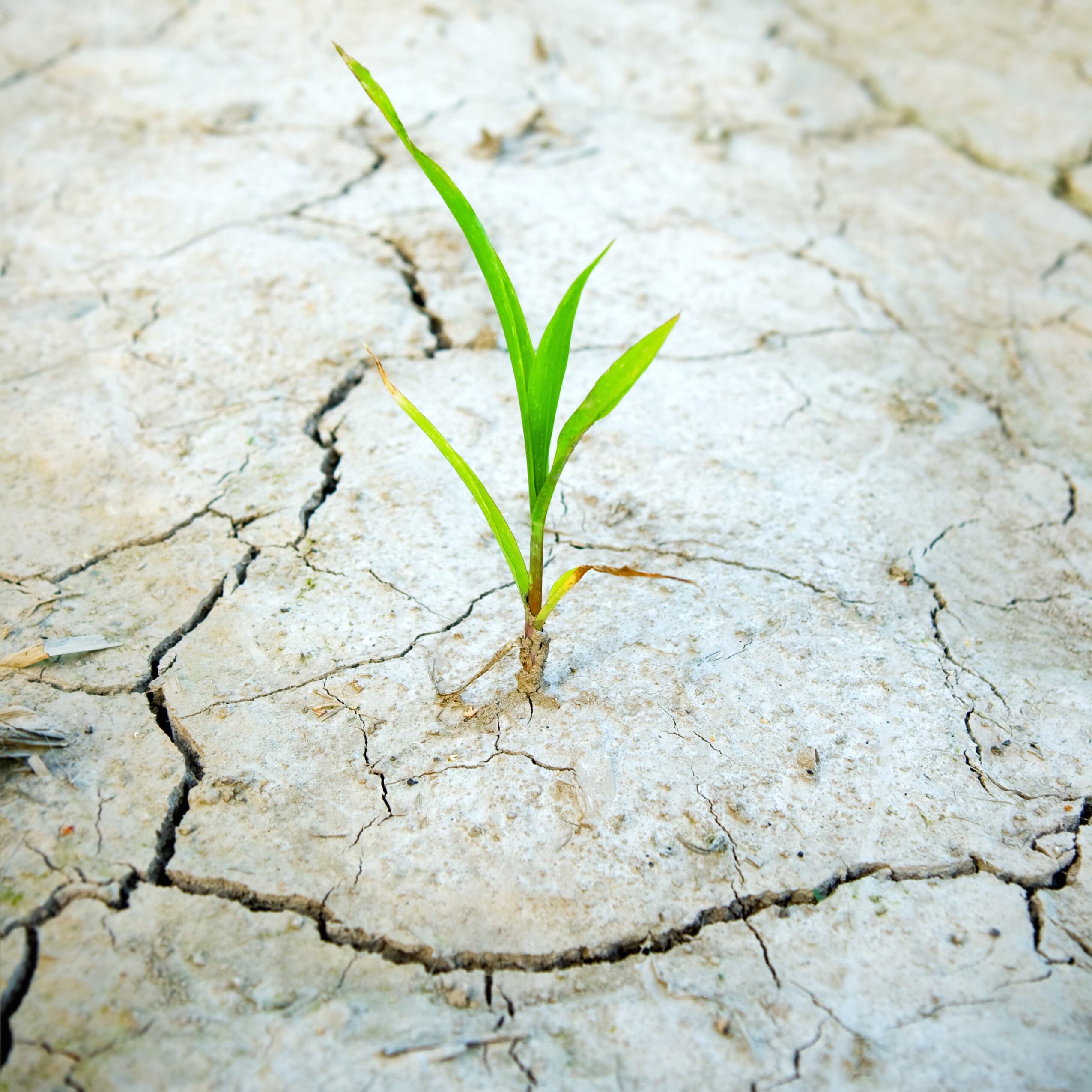 Impacto del consumo en Chile