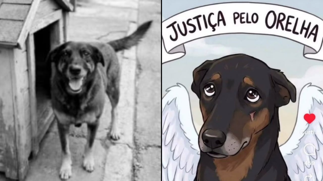 Un caso de presunto maltrato animal ocurrido en enero es investigado por la policía y generó protestas ciudadanas.