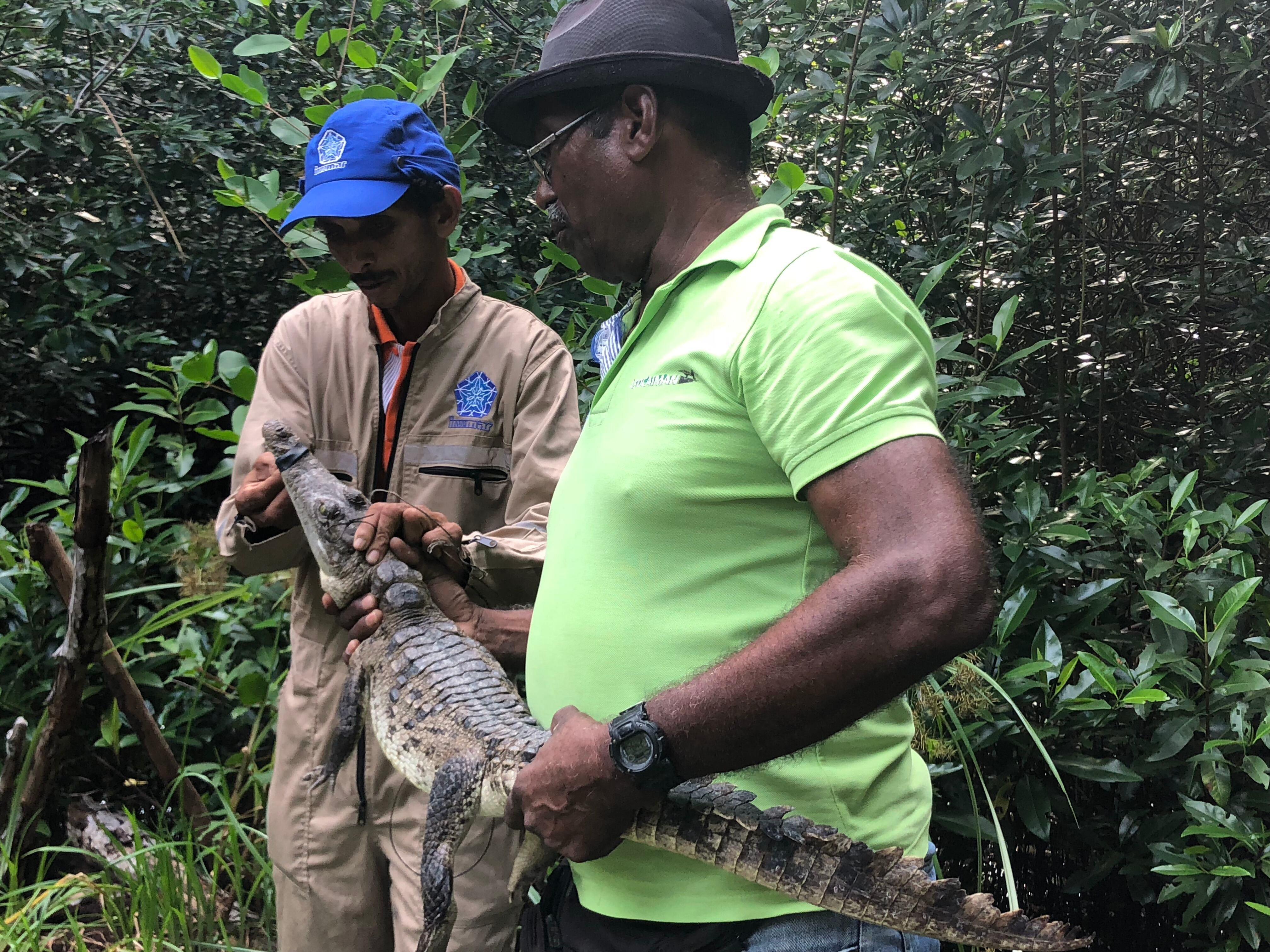 Conservación de biodiversidad en Córdoba