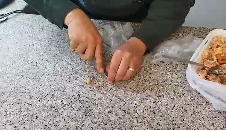 Las autoridades verifican la comida.