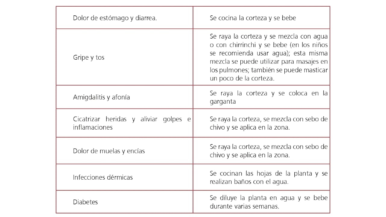 Vademécum de plantas medicinales Wayúu
