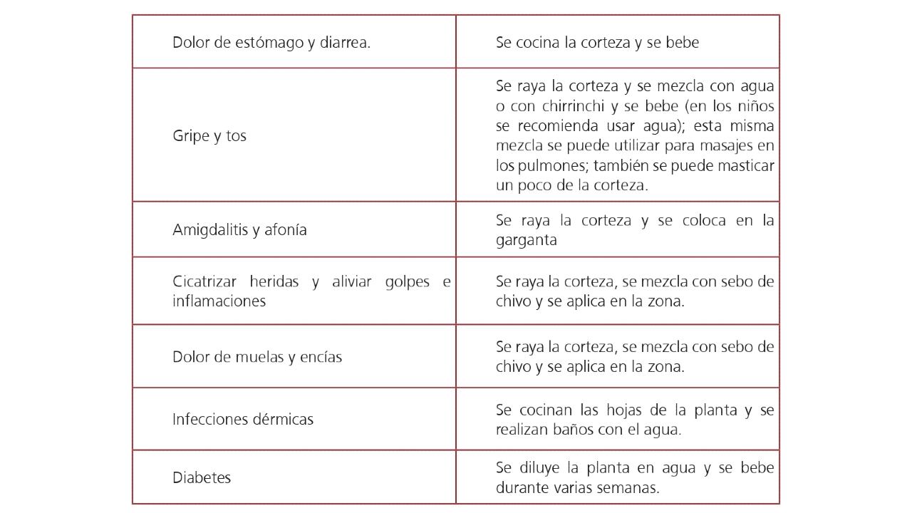 Vademécum de plantas medicinales Wayúu