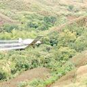 Aspersión con glifosato en sembradíos de coca en Colombia
