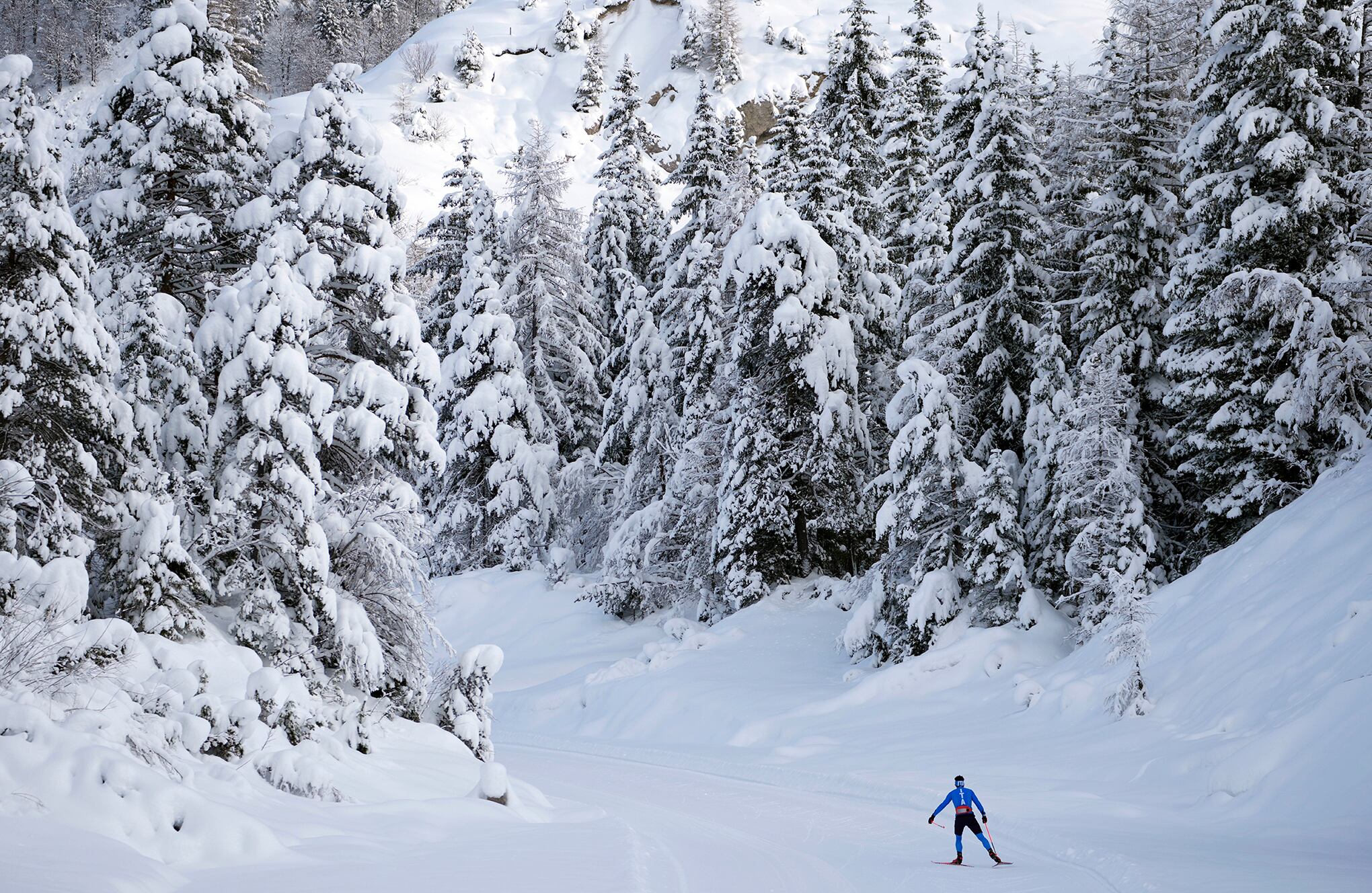 Fotos de la semana 10 dic