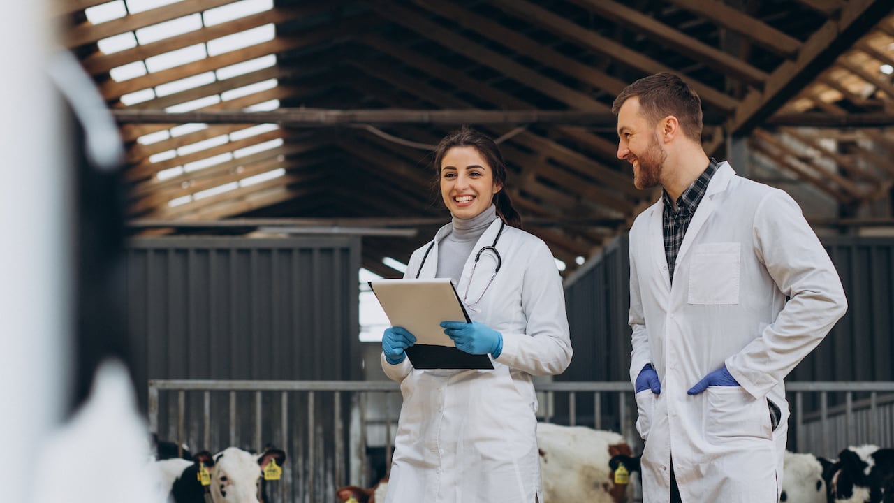 La educación en la Universidad Cooperativa de Colombia democratiza el acceso al conocimiento y empodera a los estudiantes con habilidades esenciales para el siglo XXI.