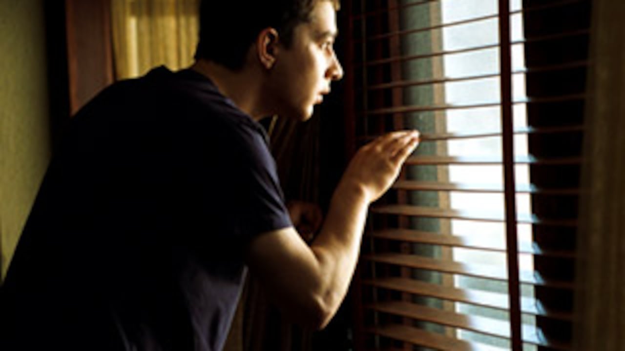 Kale (Shia LaBeouf), condenado a permanecer en su casa, cree que ha descubierto un crimen en la casa de enfrente