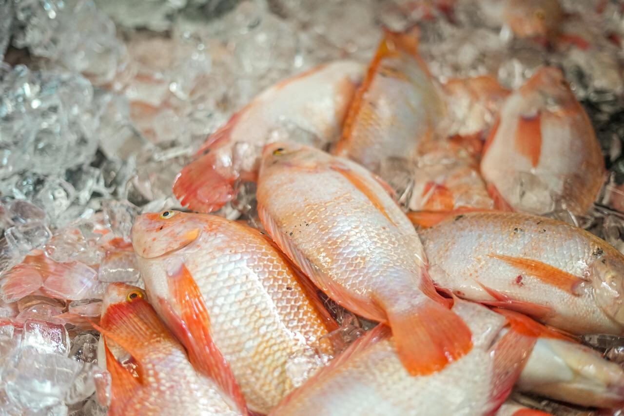 Colombia ha logrado un aumento en
las intenciones de exportaciones de productos pesqueros,