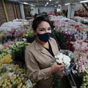 Producción y comercialización de flores en Tocancipá Ayurá S.A.S.
Feb 3 del 2021
Foto Guillermo Torres Reina / Semana